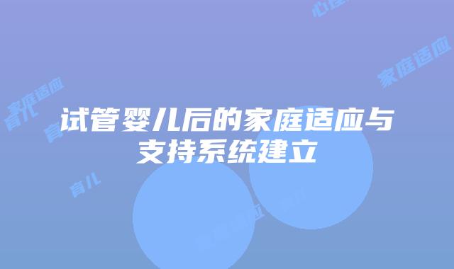 试管婴儿后的家庭适应与支持系统建立