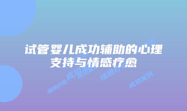 试管婴儿成功辅助的心理支持与情感疗愈