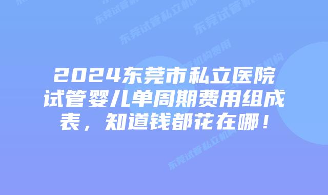 2024东莞市私立医院试管婴儿单周期费用组成表，知道钱都花在哪！