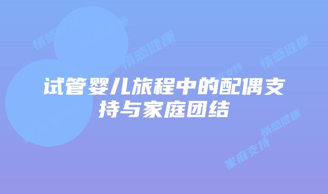 试管婴儿旅程中的配偶支持与家庭团结