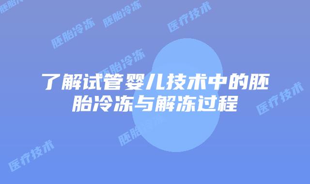 了解试管婴儿技术中的胚胎冷冻与解冻过程