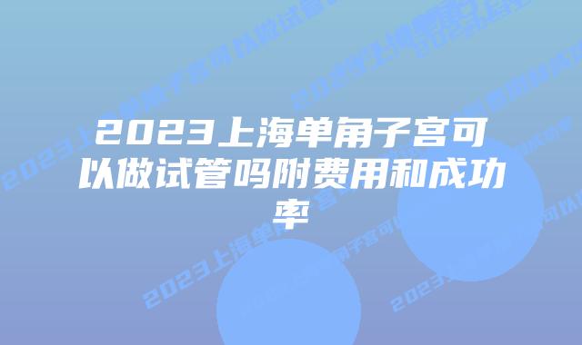 2023上海单角子宫可以做试管吗附费用和成功率