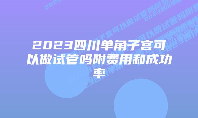 2023四川单角子宫可以做试管吗附费用和成功率