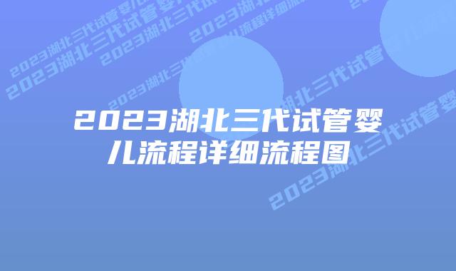 2023湖北三代试管婴儿流程详细流程图