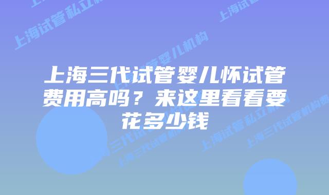 上海三代试管婴儿怀试管费用高吗?来这里看看要花多少钱