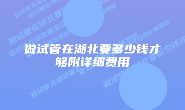 做试管在湖北要多少钱才够附详细费用