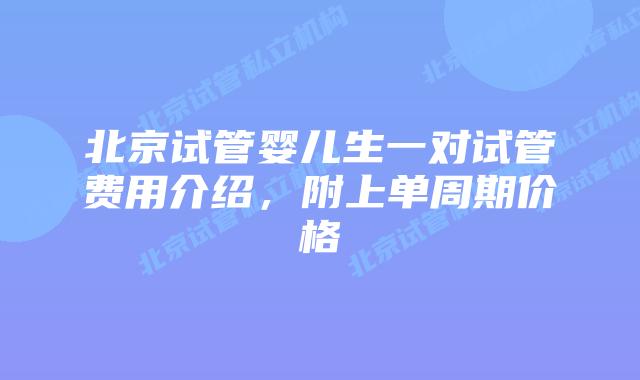北京试管婴儿生一对试管费用介绍,附上单周期价格