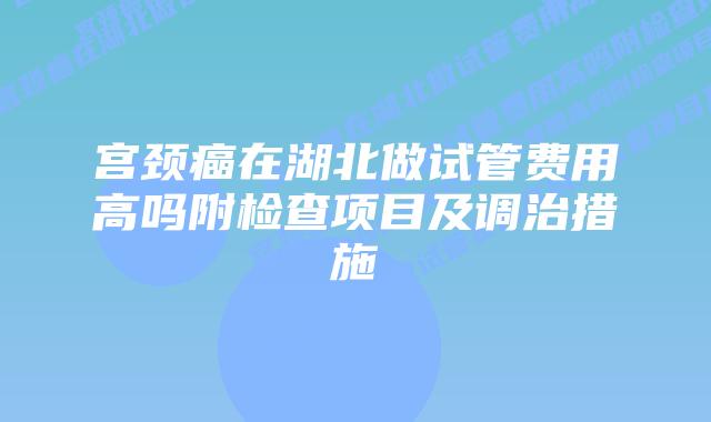 宫颈癌在湖北做试管费用高吗附检查项目及调治措施