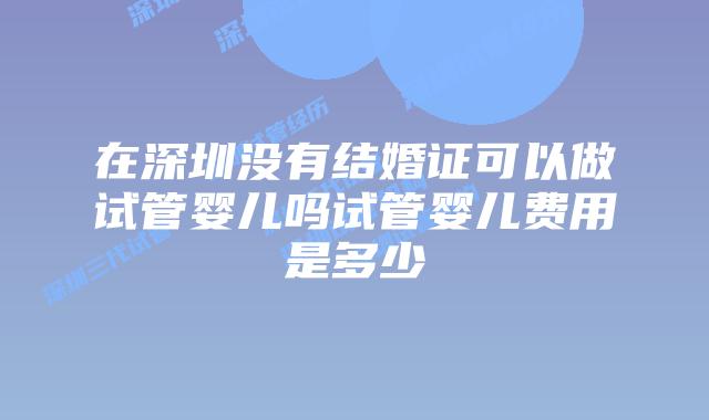 在深圳没有结婚证可以做试管婴儿吗试管婴儿费用是多少