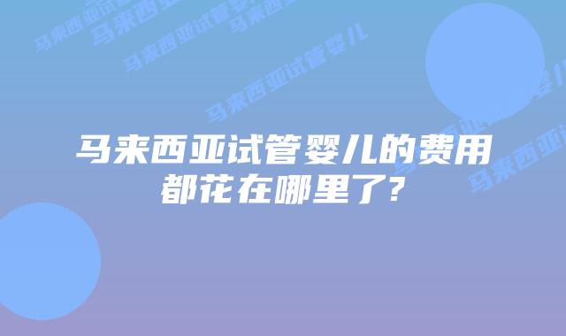 马来西亚试管婴儿的费用都花在哪里了?