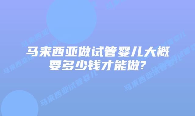 马来西亚做试管婴儿大概要多少钱才能做?