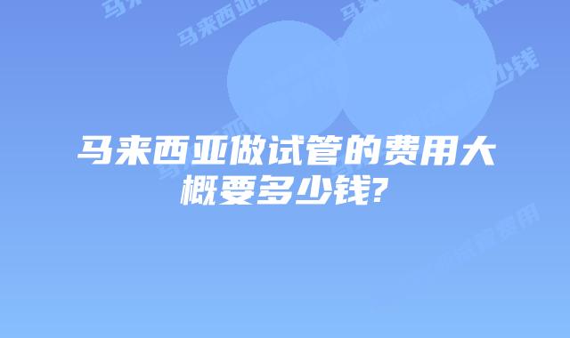 马来西亚做试管的费用大概要多少钱?