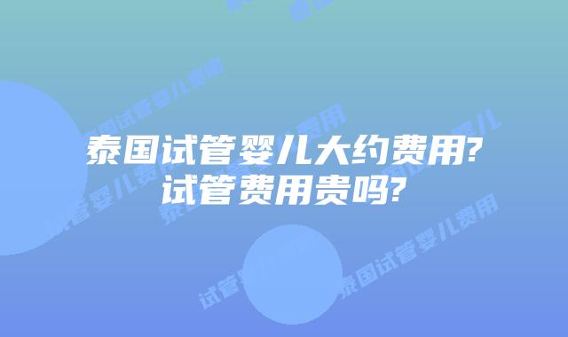 泰国试管婴儿大约费用?试管费用贵吗?