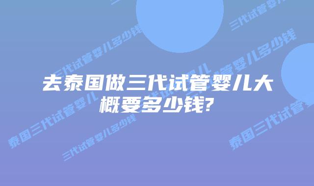 去泰国做三代试管婴儿大概要多少钱?