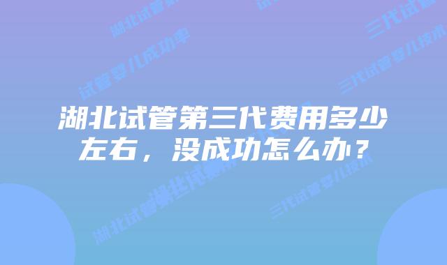 湖北试管第三代费用多少左右，没成功怎么办？