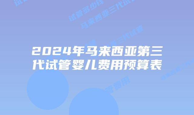 2024年马来西亚第三代试管婴儿费用预算表