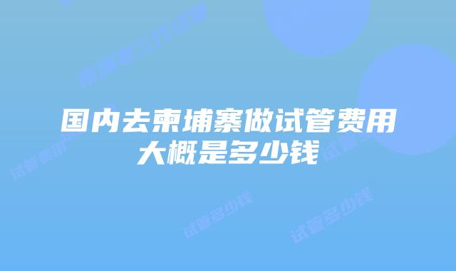 国内去柬埔寨做试管费用大概是多少钱