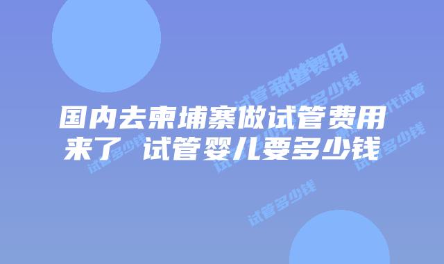 国内去柬埔寨做试管费用来了 试管婴儿要多少钱