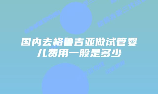 国内去格鲁吉亚做试管婴儿费用一般是多少