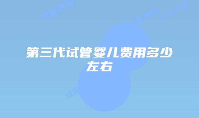 第三代试管婴儿费用多少左右