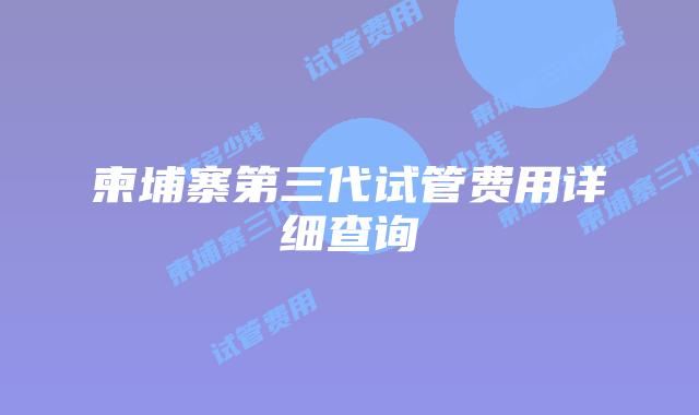 柬埔寨第三代试管费用详细查询