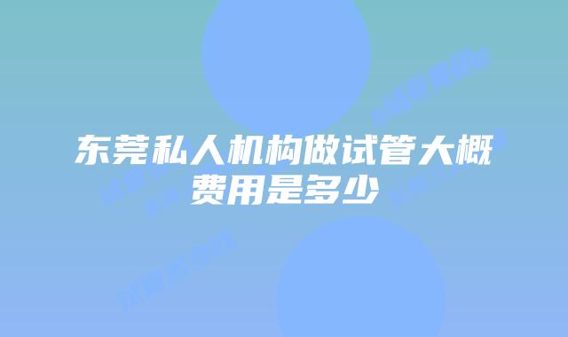 东莞私人机构做试管大概费用是多少