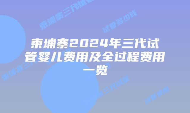柬埔寨2024年三代试管婴儿费用及全过程费用一览