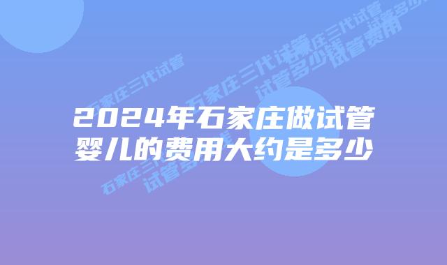 2024年石家庄做试管婴儿的费用大约是多少