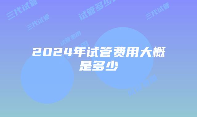 2024年试管费用大概是多少