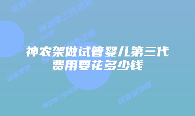 神农架做试管婴儿第三代费用要花多少钱