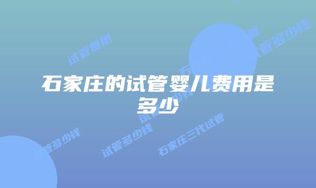 石家庄的试管婴儿费用是多少