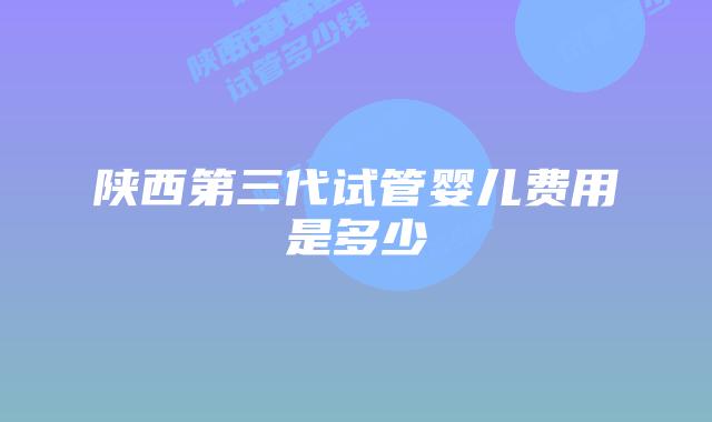 陕西第三代试管婴儿费用是多少