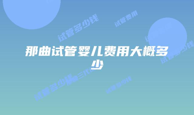 那曲试管婴儿费用大概多少