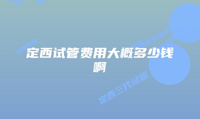 定西试管费用大概多少钱啊