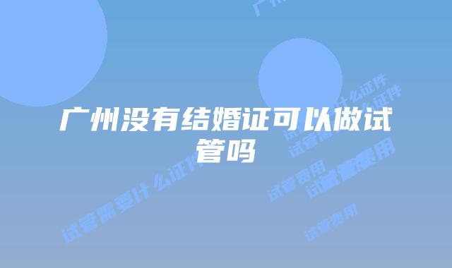 广州没有结婚证可以做试管吗