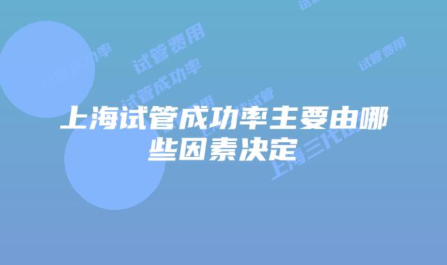 上海试管成功率主要由哪些因素决定