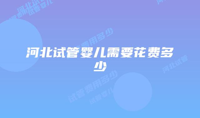 河北试管婴儿需要花费多少