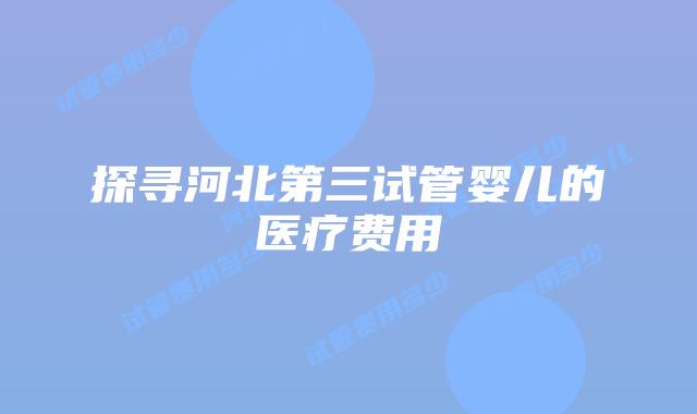 探寻河北第三试管婴儿的医疗费用