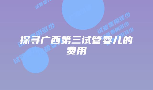探寻广西第三试管婴儿的费用