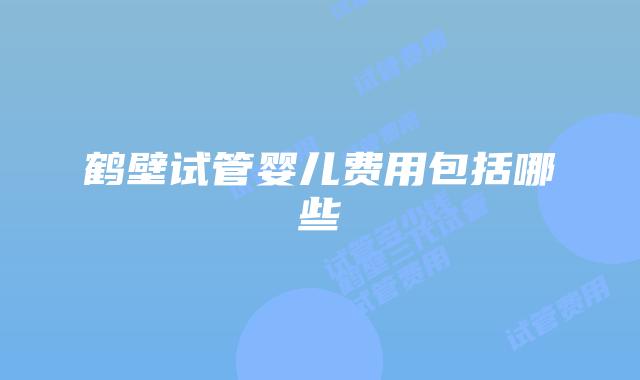 鹤壁试管婴儿费用包括哪些