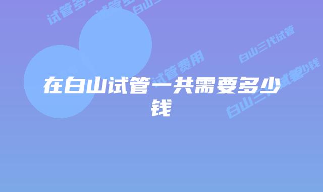 在白山试管一共需要多少钱