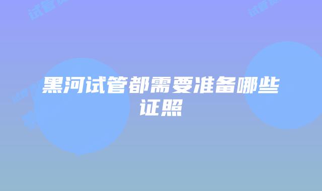 黑河试管都需要准备哪些证照