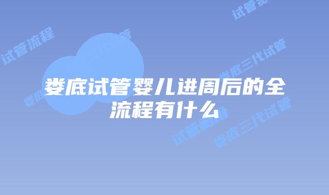 娄底试管婴儿进周后的全流程有什么