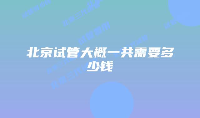 北京试管大概一共需要多少钱