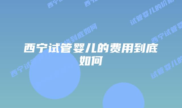西宁试管婴儿的费用到底如何