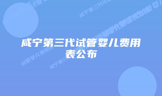 咸宁第三代试管婴儿费用表公布
