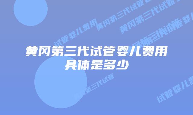 黄冈第三代试管婴儿费用具体是多少