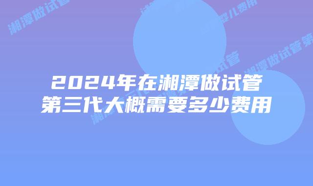 2024年在湘潭做试管第三代大概需要多少费用