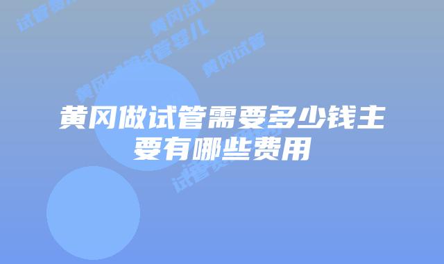 黄冈做试管需要多少钱主要有哪些费用