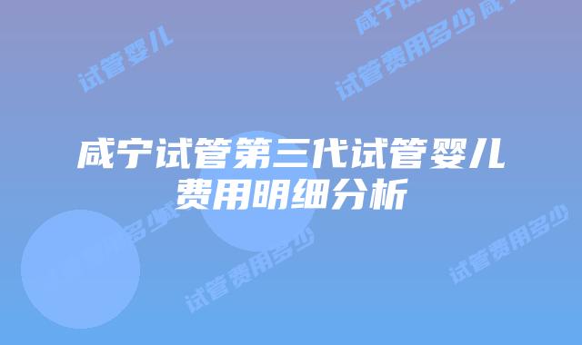 咸宁试管第三代试管婴儿费用明细分析